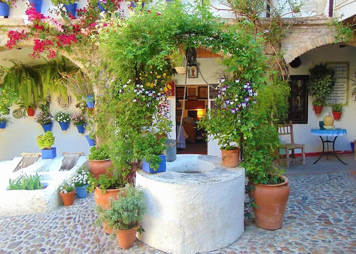 Lustre N 11 Córdoba