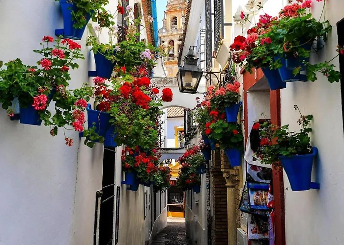 Vakantiehuis Lustre N 11 Córdoba