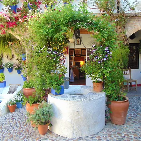 Lustre N 11 קורדובה