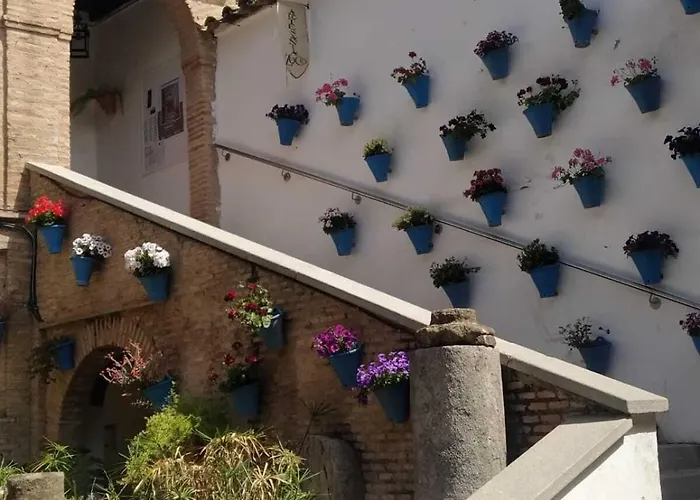 Lustre N 11 Σπίτι διακοπών *