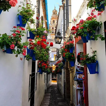 Ferienhaus Al Pie Del Puente Romano Córdoba