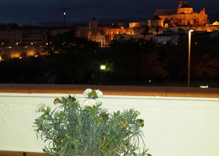 Lustre N 11 Córdoba